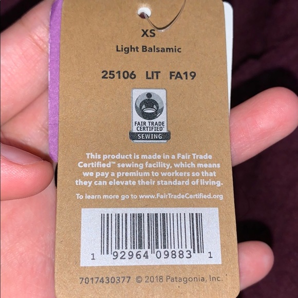 NWT Patagonia Diamond Capra Fleece Pullover Hoodie - Picture 14 of 15